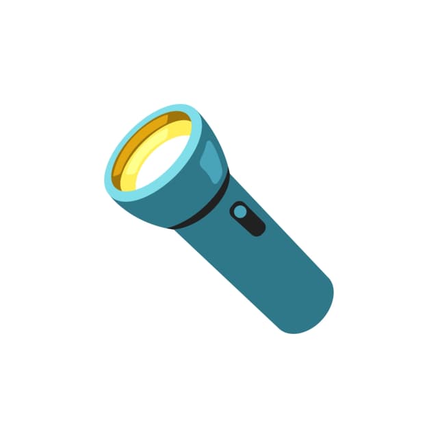 Torch Light