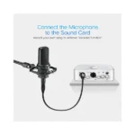 UGREEN 20712 Cannon XLR Male to Female Microphone Extension Audio Cable - 5m (Black) - Image 4