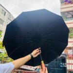 Premium 12-Ribs Automatic Open and Close Wooden Handle Umbrella